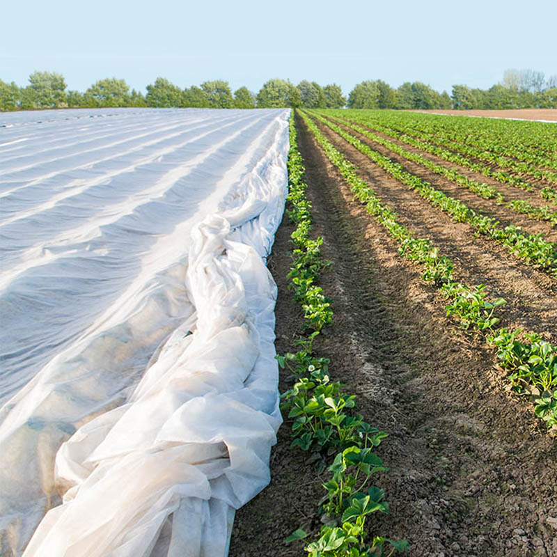 Tela agrícola no tejida de empalme ultra ancha
