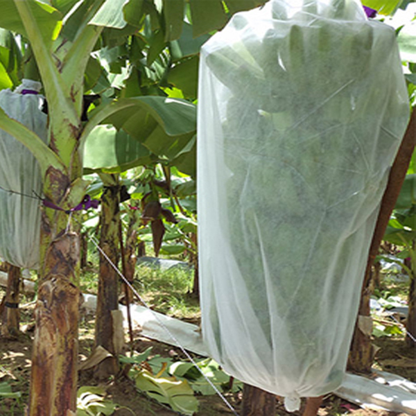 Cubierta de planta no tejida Tabla de jardín de bolsas de plátano
