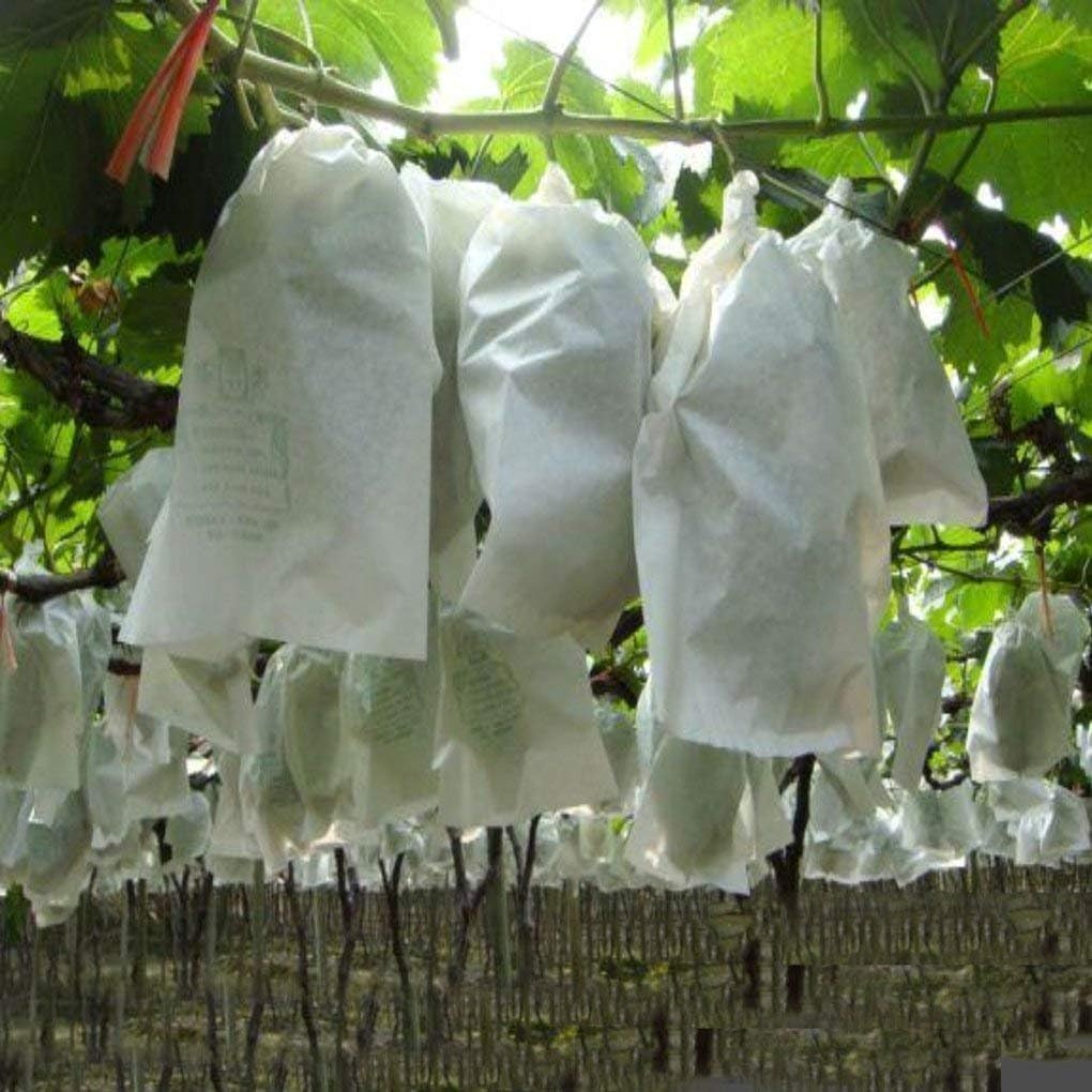 Cubierta de planta no tejida Tabla de jardín de bolsas de plátano